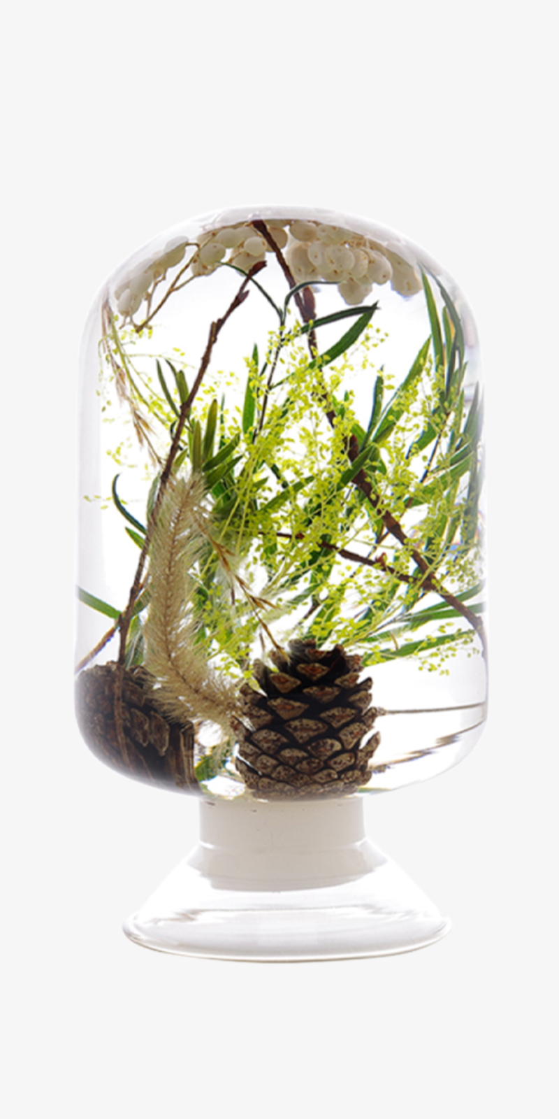 Herbarium - Green Forest