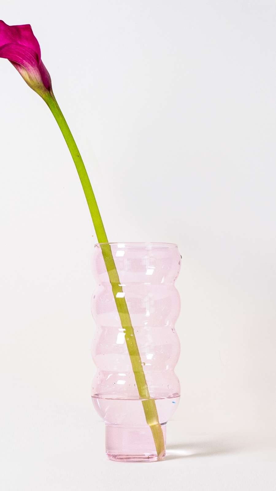 Bubble Vase - Pink