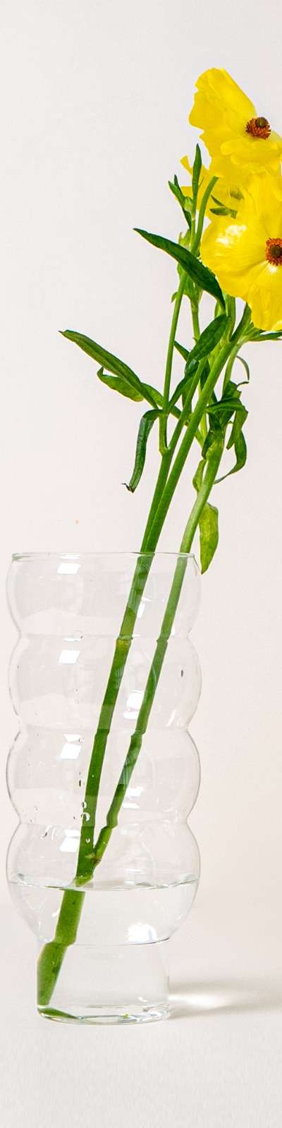 Bubble Vase - Clear
