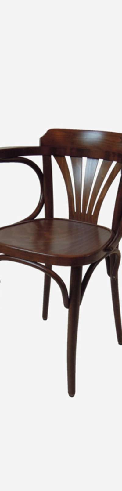 Armchair 24 - Walnut