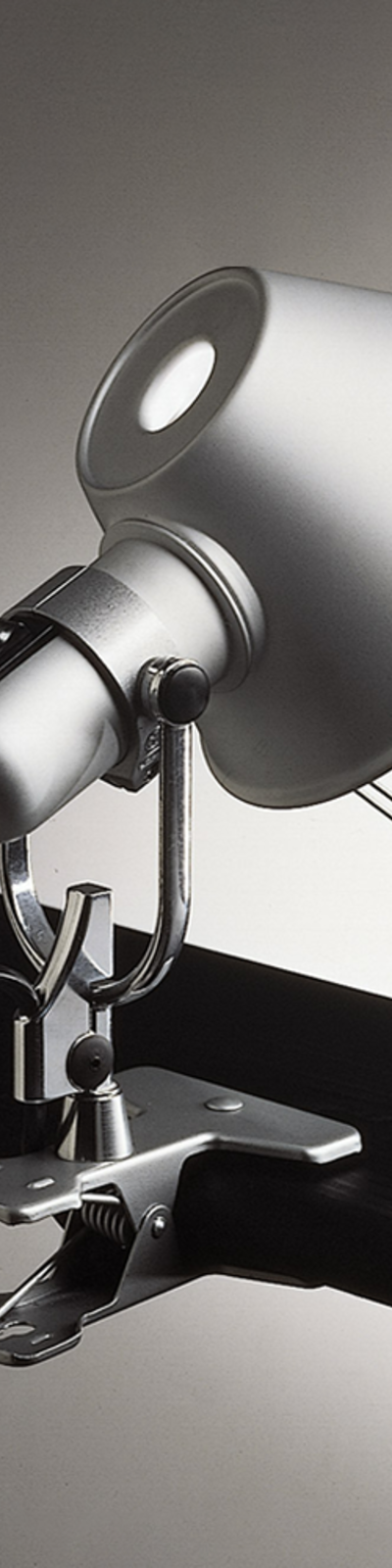 Tolomeo Pinza