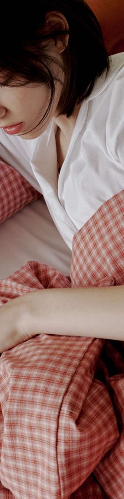 Vintage Red Check Bedding Set