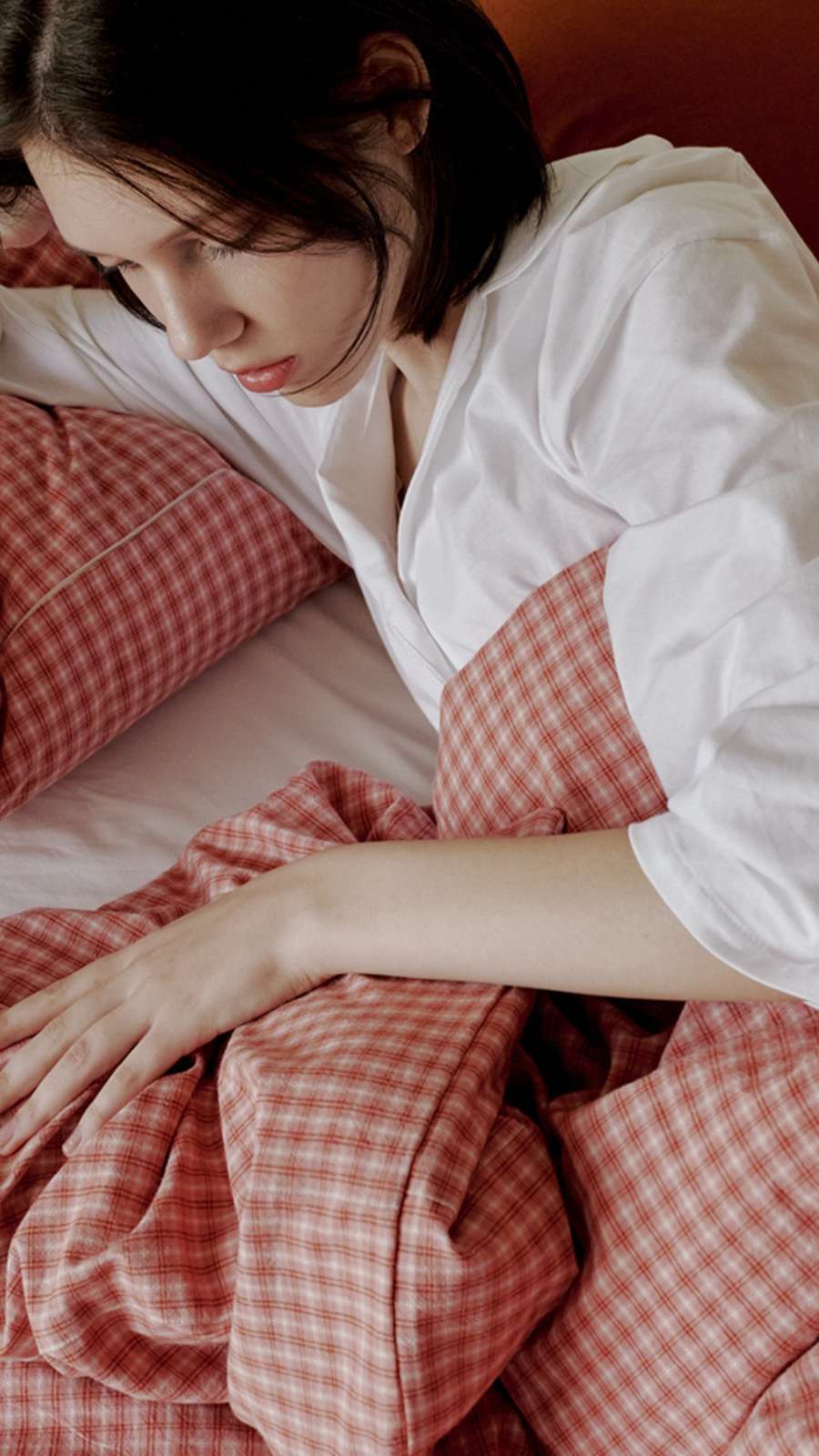 Vintage Red Check Bedding Set