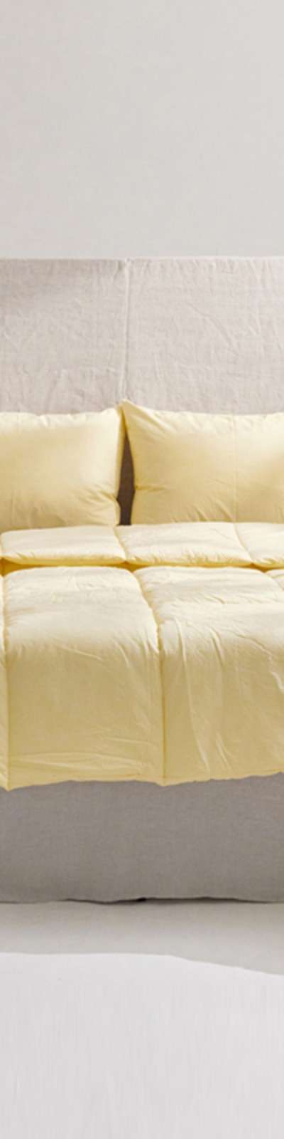 Silky Cotton 60 Count Duvet Cover - Cream Yellow