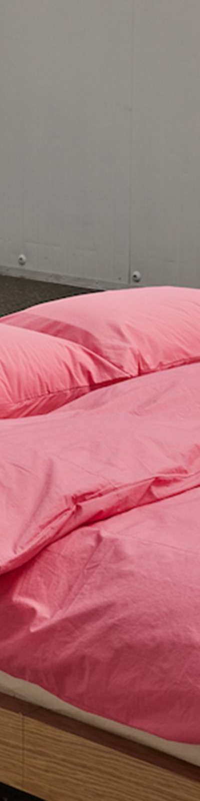 Silky Cotton 60-Count Bedding Set - Friends Rose