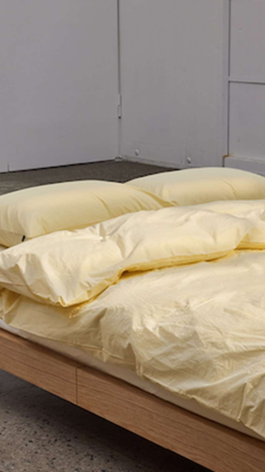 Silky Cotton 60 Count Bedding Set - Cream Yellow