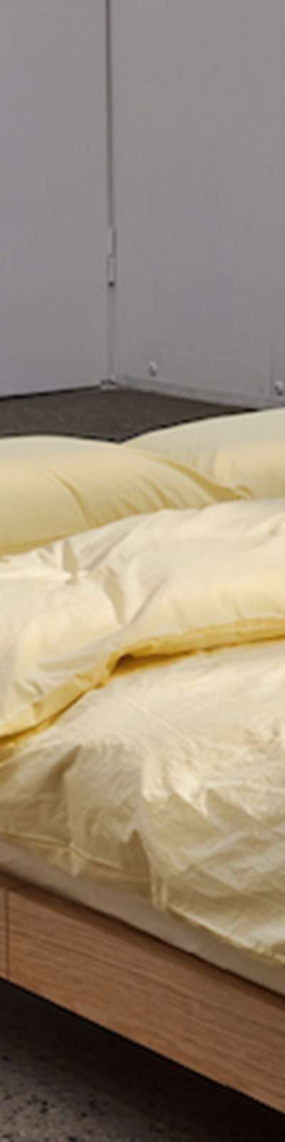 Silky Cotton 60 Count Bedding Set - Cream Yellow