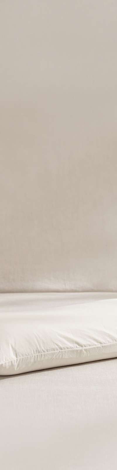 Wide Silky Cotton 100-Count Pillowcase - Cream