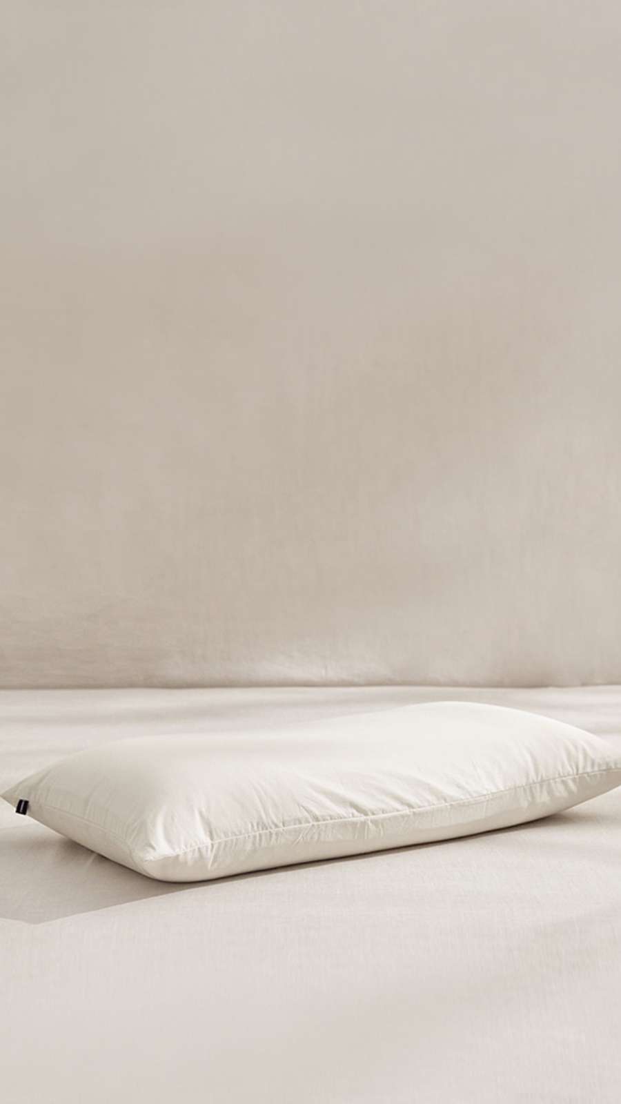 Wide Silky Cotton 100-Count Pillowcase - Cream