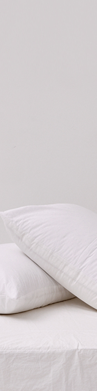 Silky Cotton 60 Thread Count Pillowcase - White