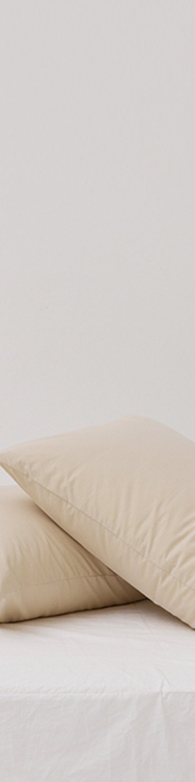 Silky Cotton 60-Count Pillowcase - Cream Sand