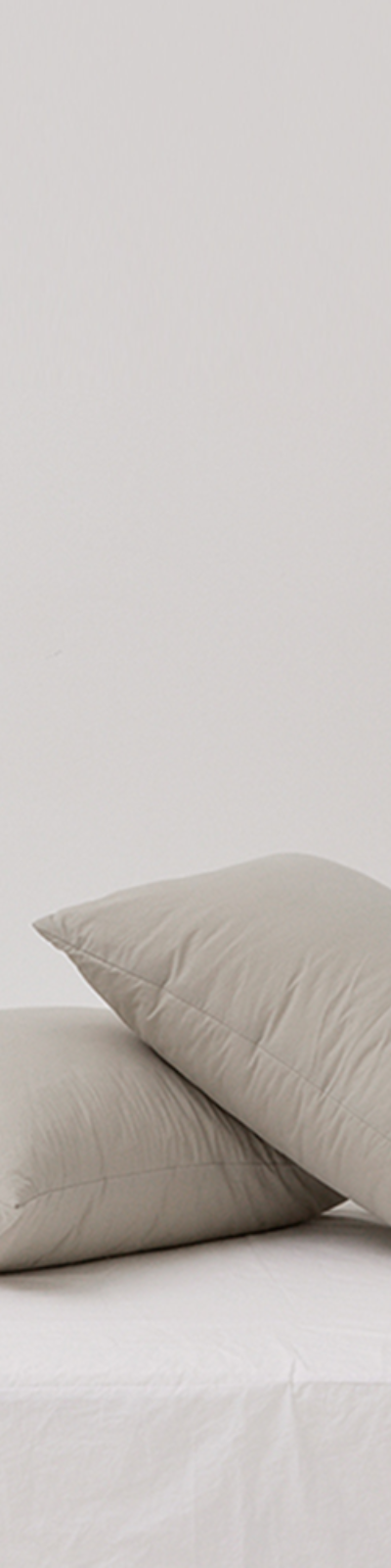 Silky Cotton 60-Count Pillowcase - Mint Gray