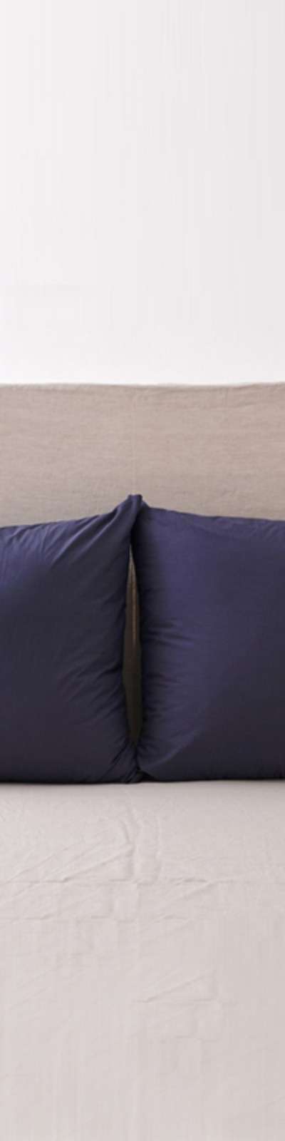 Silky Cotton Back Cushion Cover