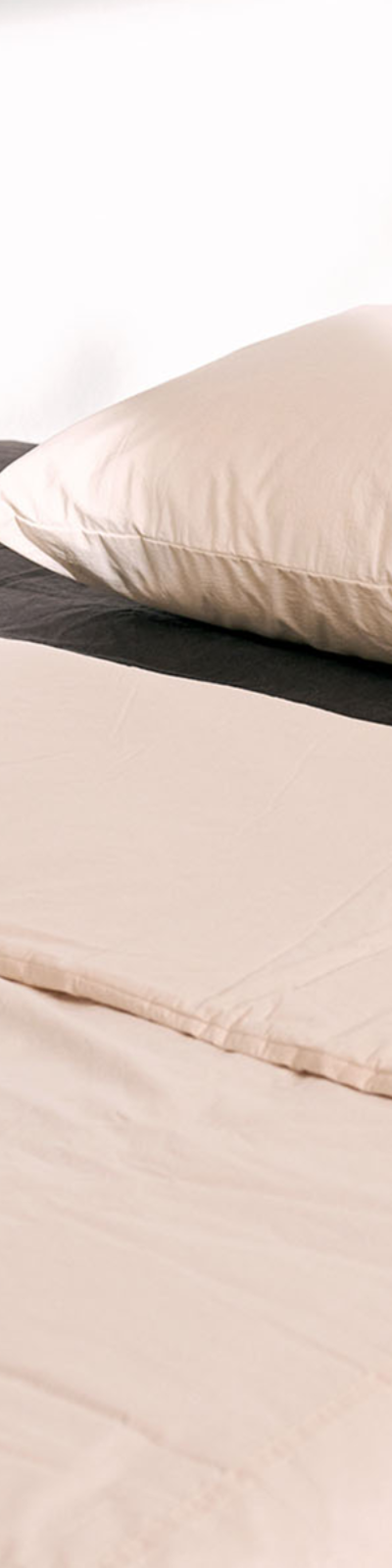 Silky Cotton 100-Count Bedding Set_Cream