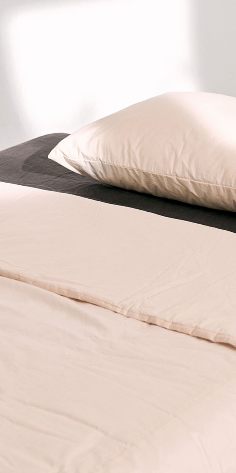 Silky Cotton 100-Count Bedding Set_Cream