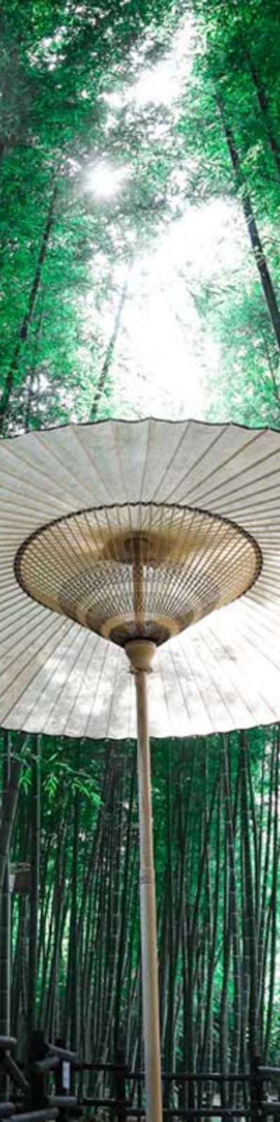 Jiu Parasol Umbrella