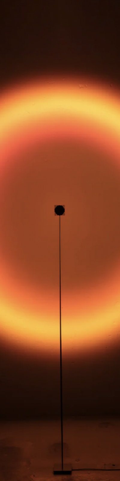 Halo Black Hole
