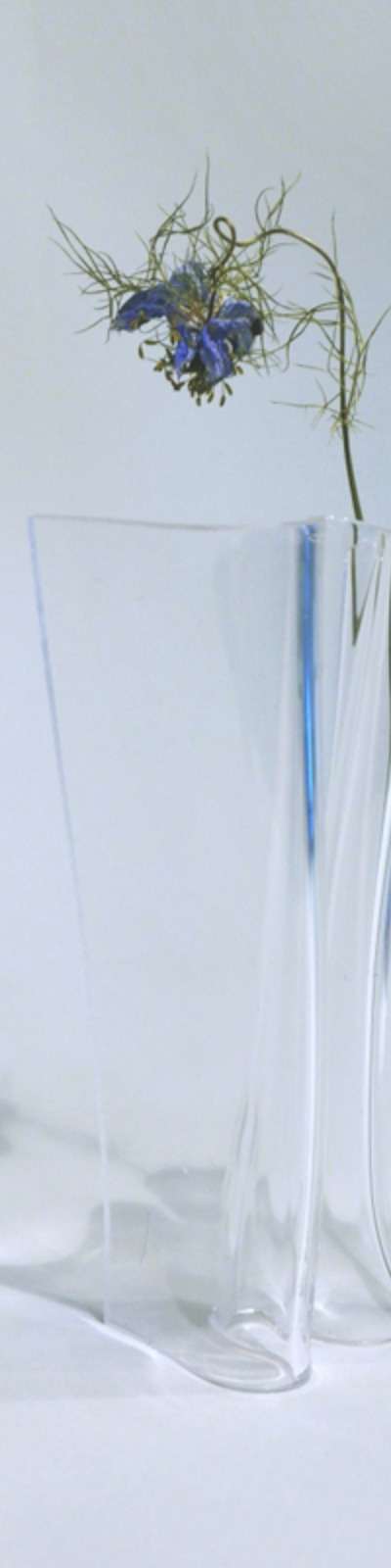 Blank Wind - Clear (S / M / L)