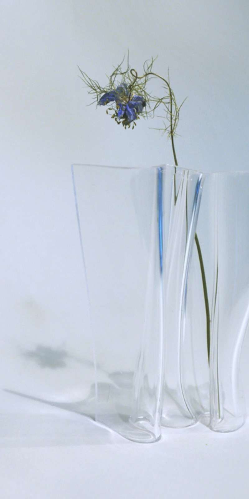 Blank Wind - Clear (S / M / L)