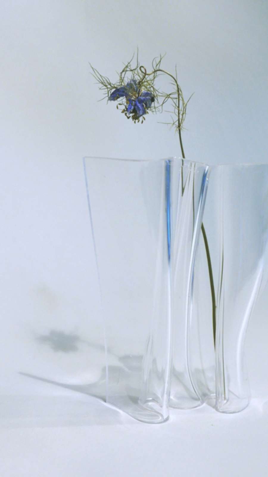Blank Wind - Clear (S / M / L)
