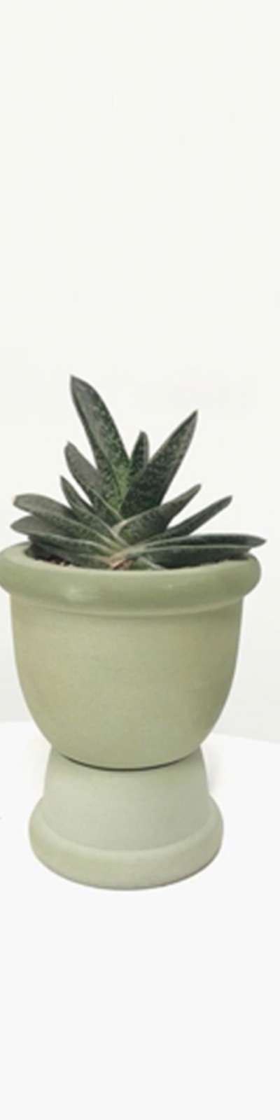 Drum Planter