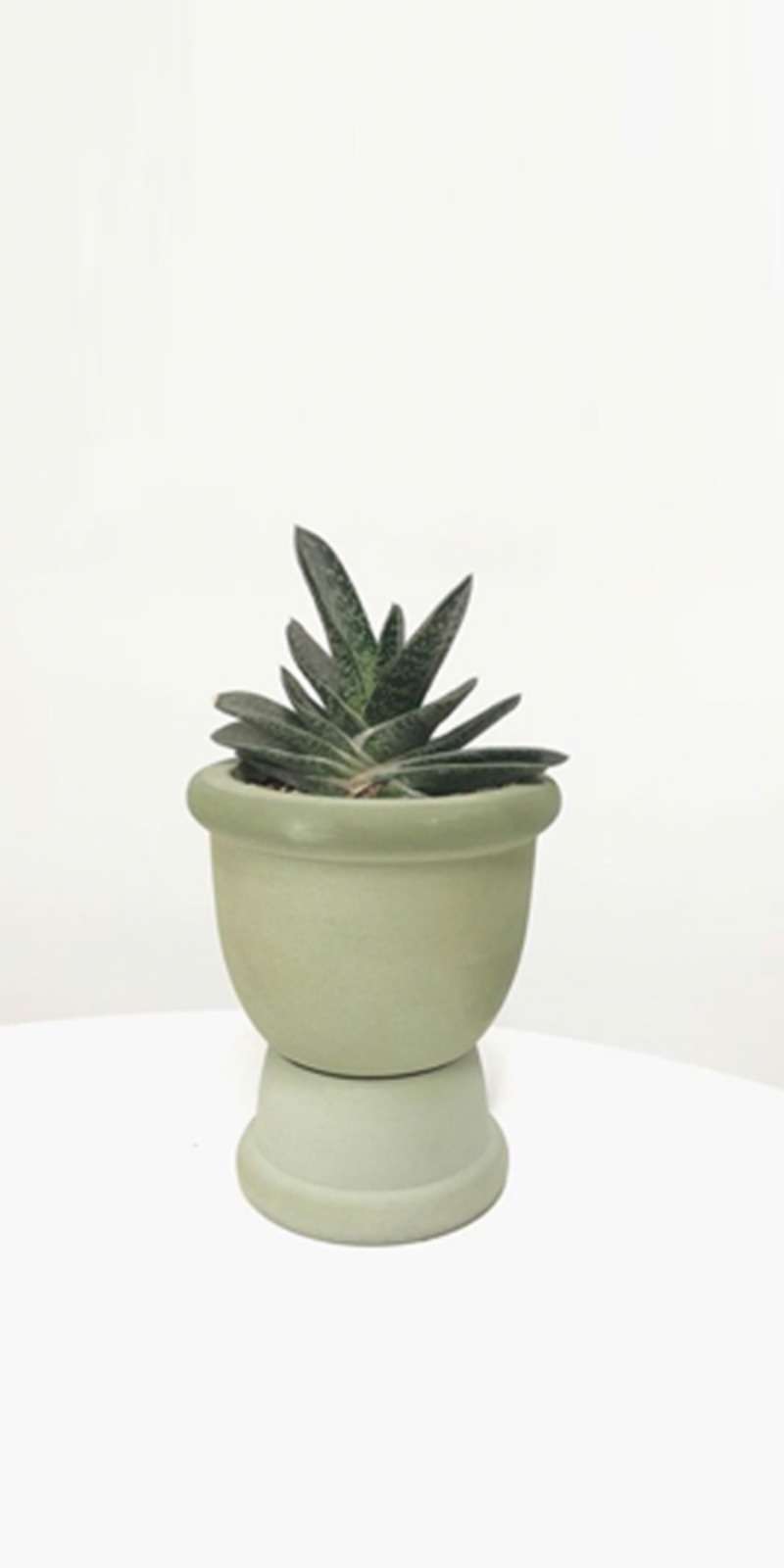 Drum Planter