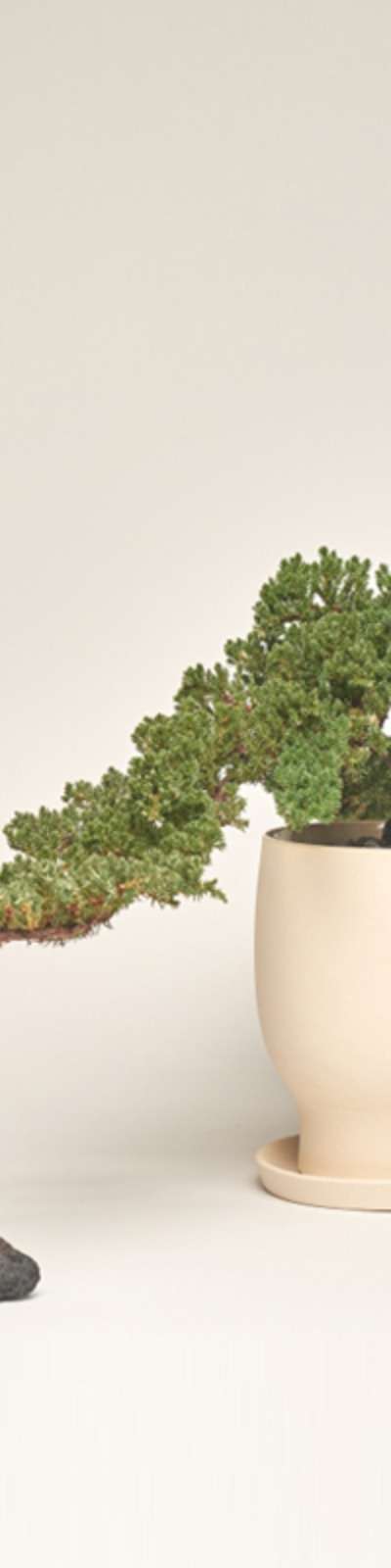 Mortar Planter