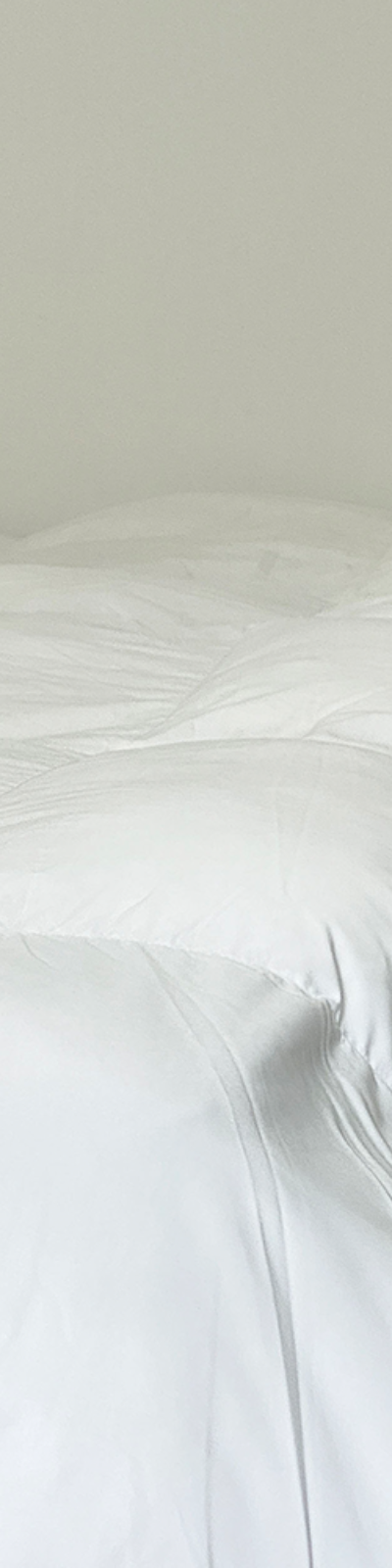 Vegan Goose Comforter Filling