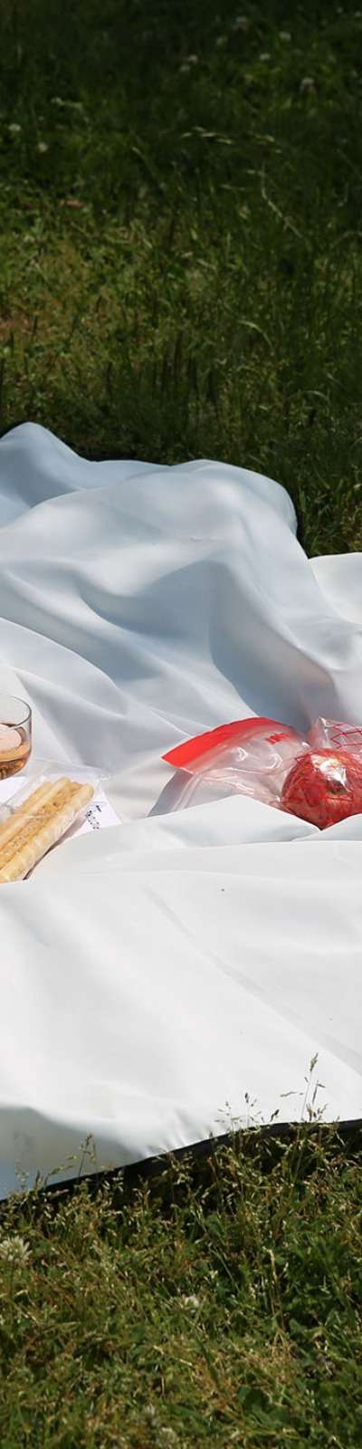 Simple Lining Picnic Mat S / L