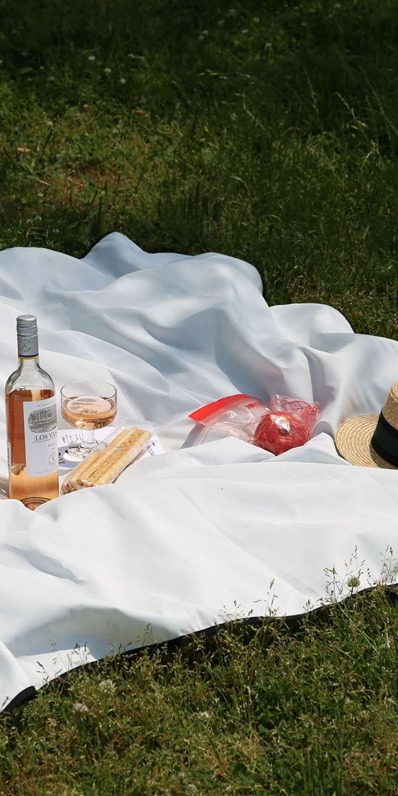 Simple Lining Picnic Mat S / L