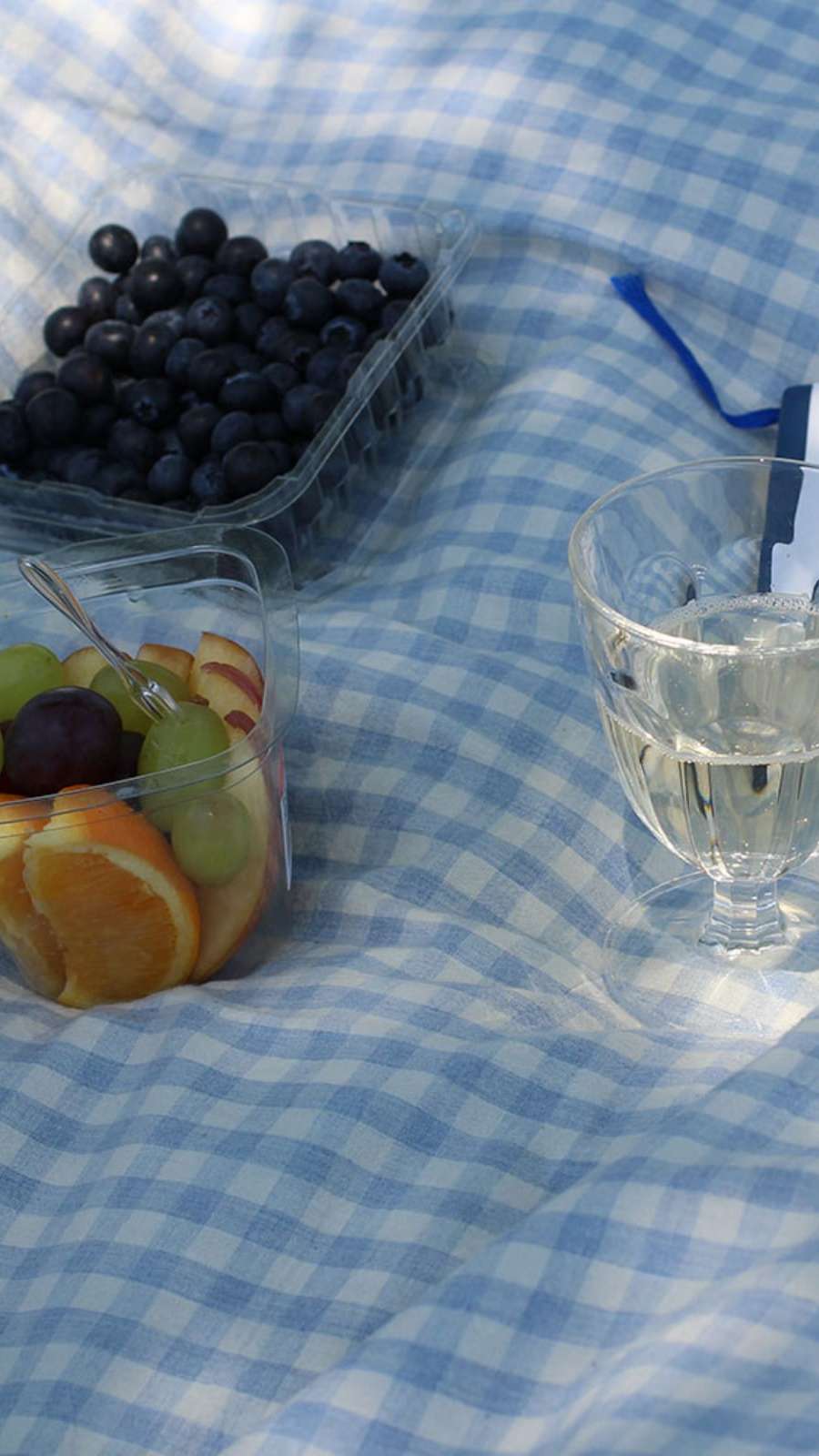 Bruni Check Picnic Mat - Baby Blue