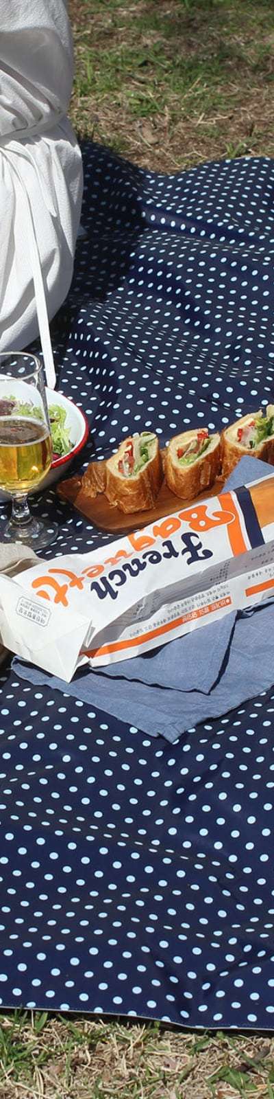 Waterproof Picnic Mat - Navy Dot
