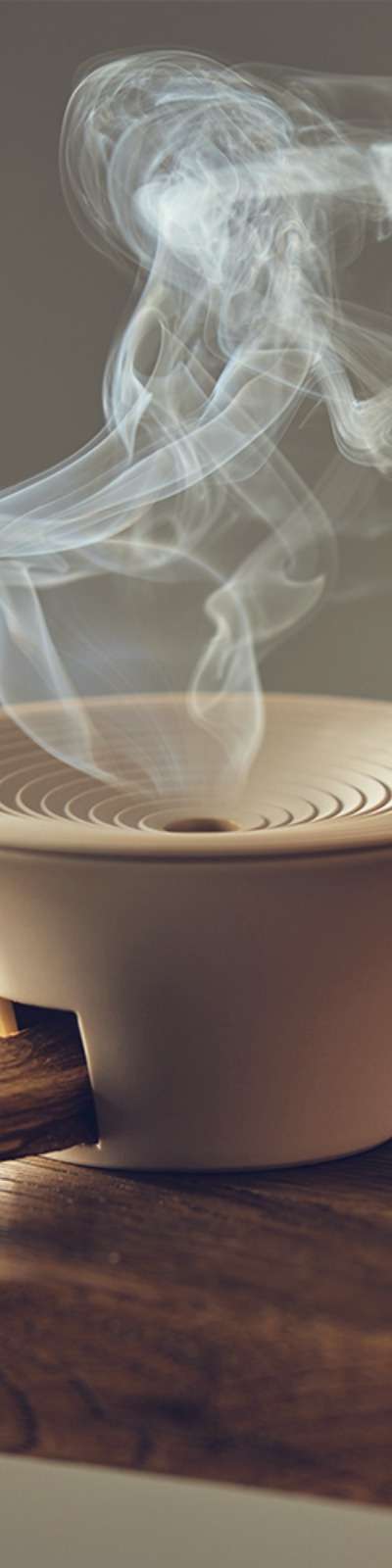 Holismoke Palo Santo Burner