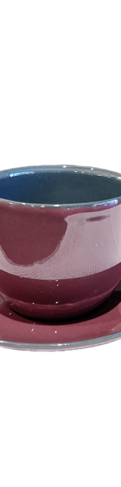Bicolor Cappuccino Set - Wine
