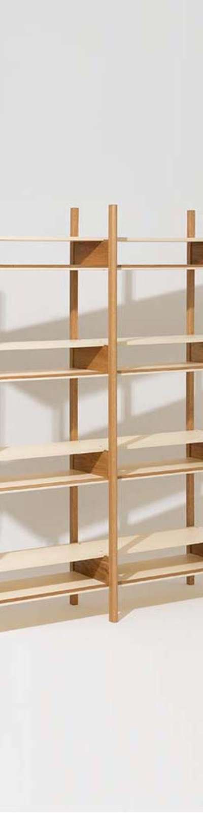 Rail Shelf - 2 Column