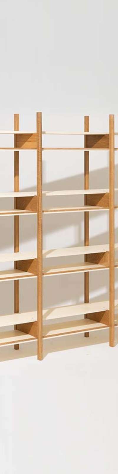 Rail Shelf - 3-Tier