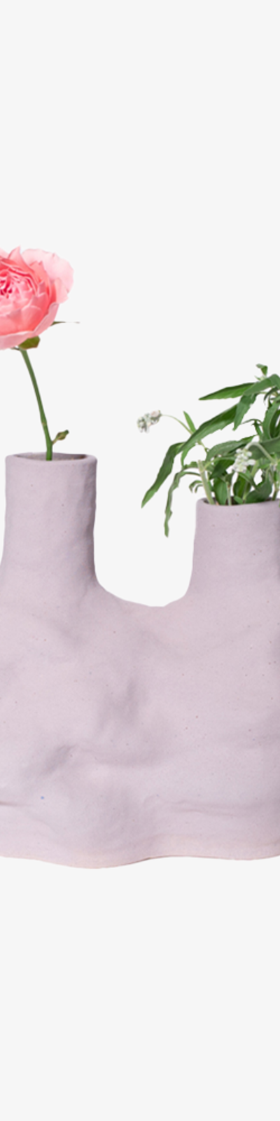 Two Necks Purple Vase