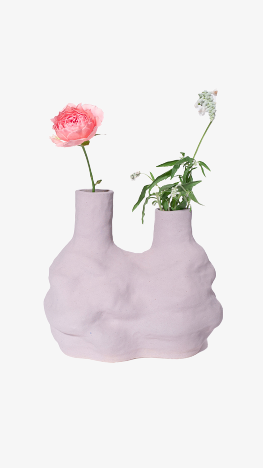 Two Necks Purple Vase