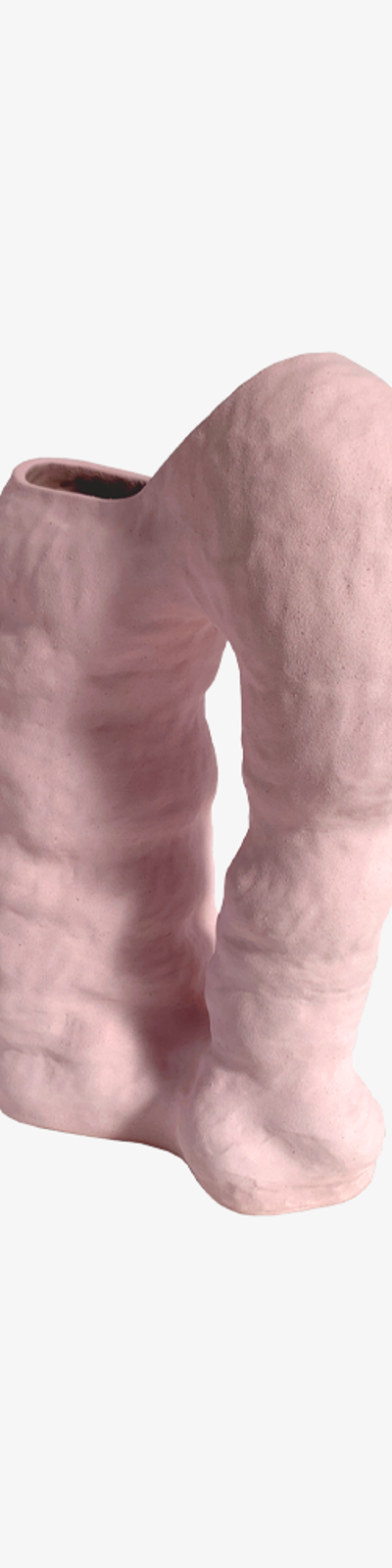 Upper Body Pink Vase
