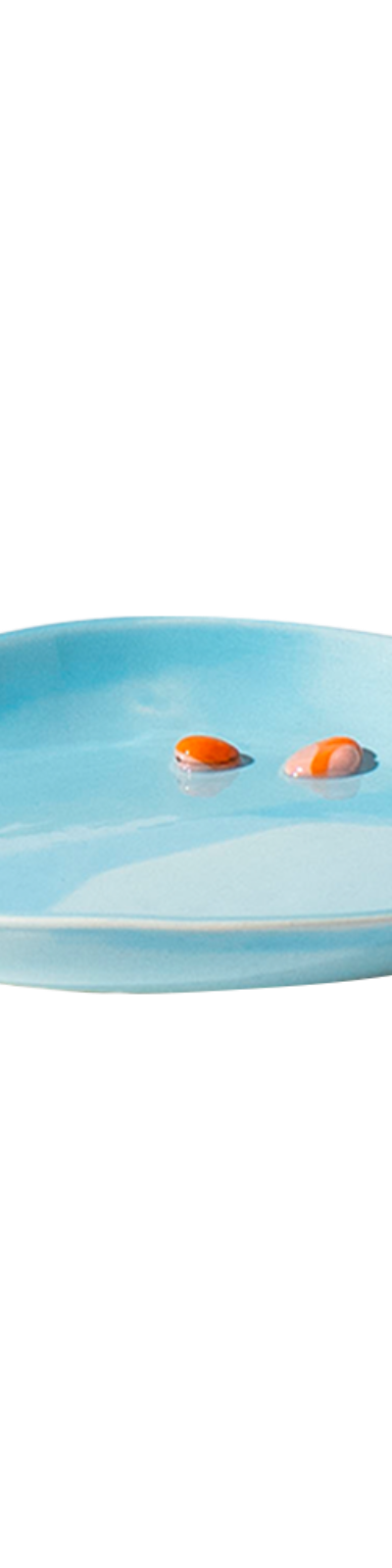 Swimmer in Dish