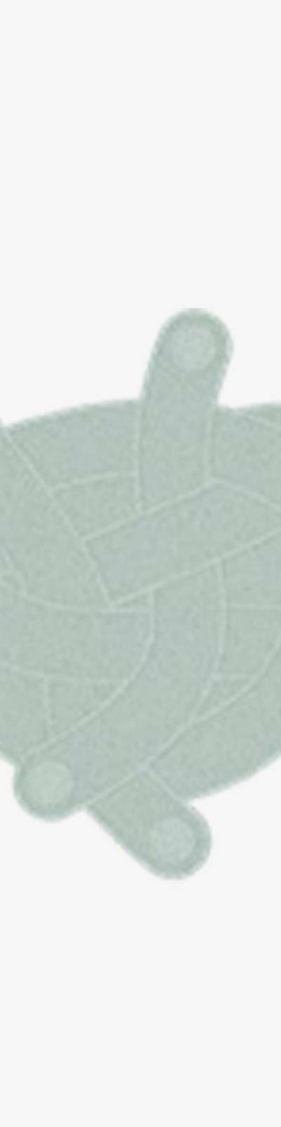 Stem Rug - M (5 COLORS)