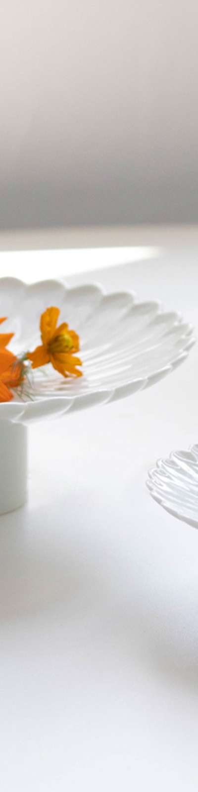 High-Rimmed Flower-Shaped Dish Set