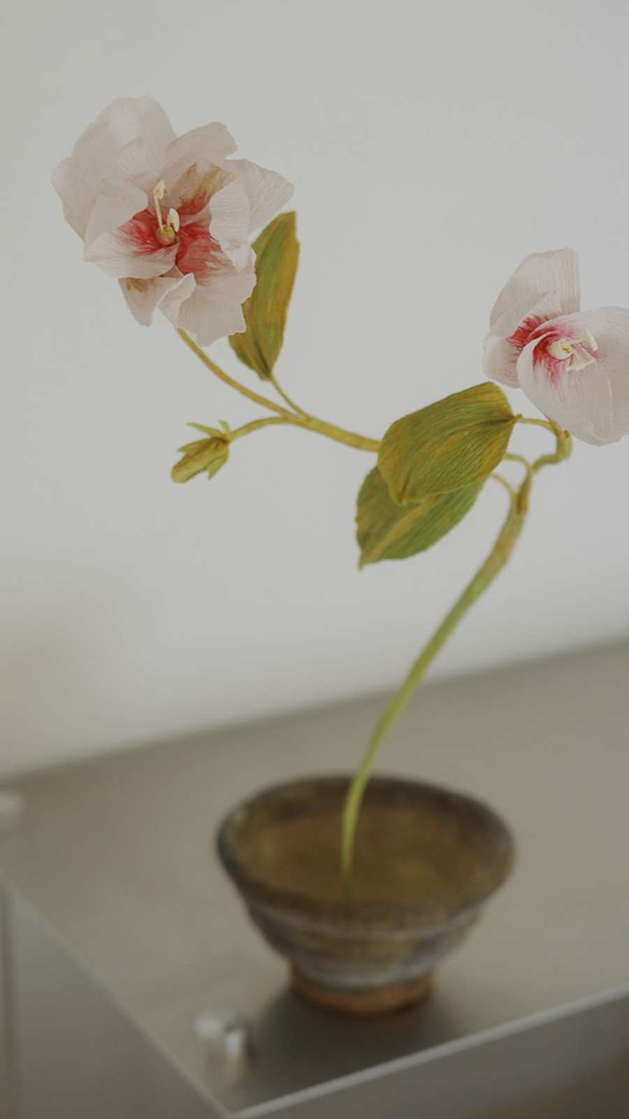Paper Bloom - Hibiscus of Sharon