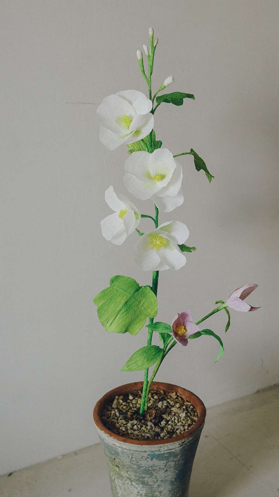Paper Bloom - Hollyhock