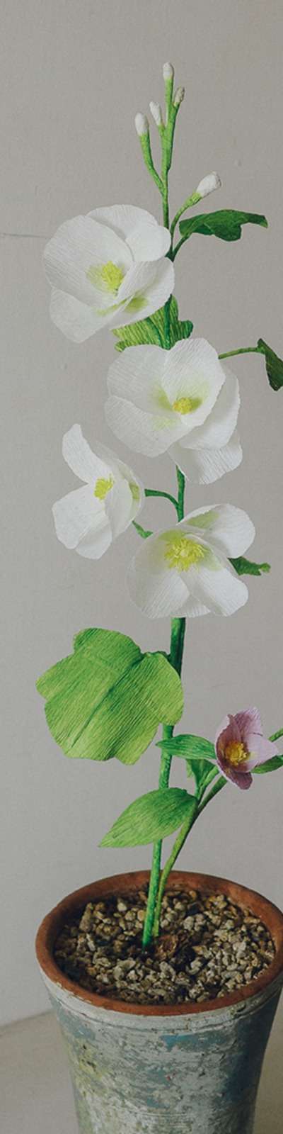 Paper Bloom - Hollyhock