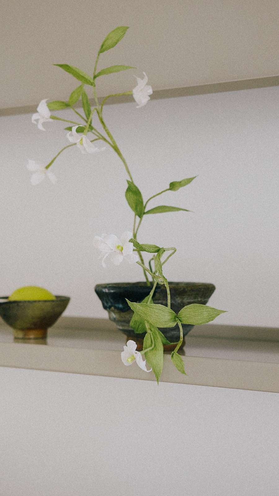 Paper Bloom - Wisteria