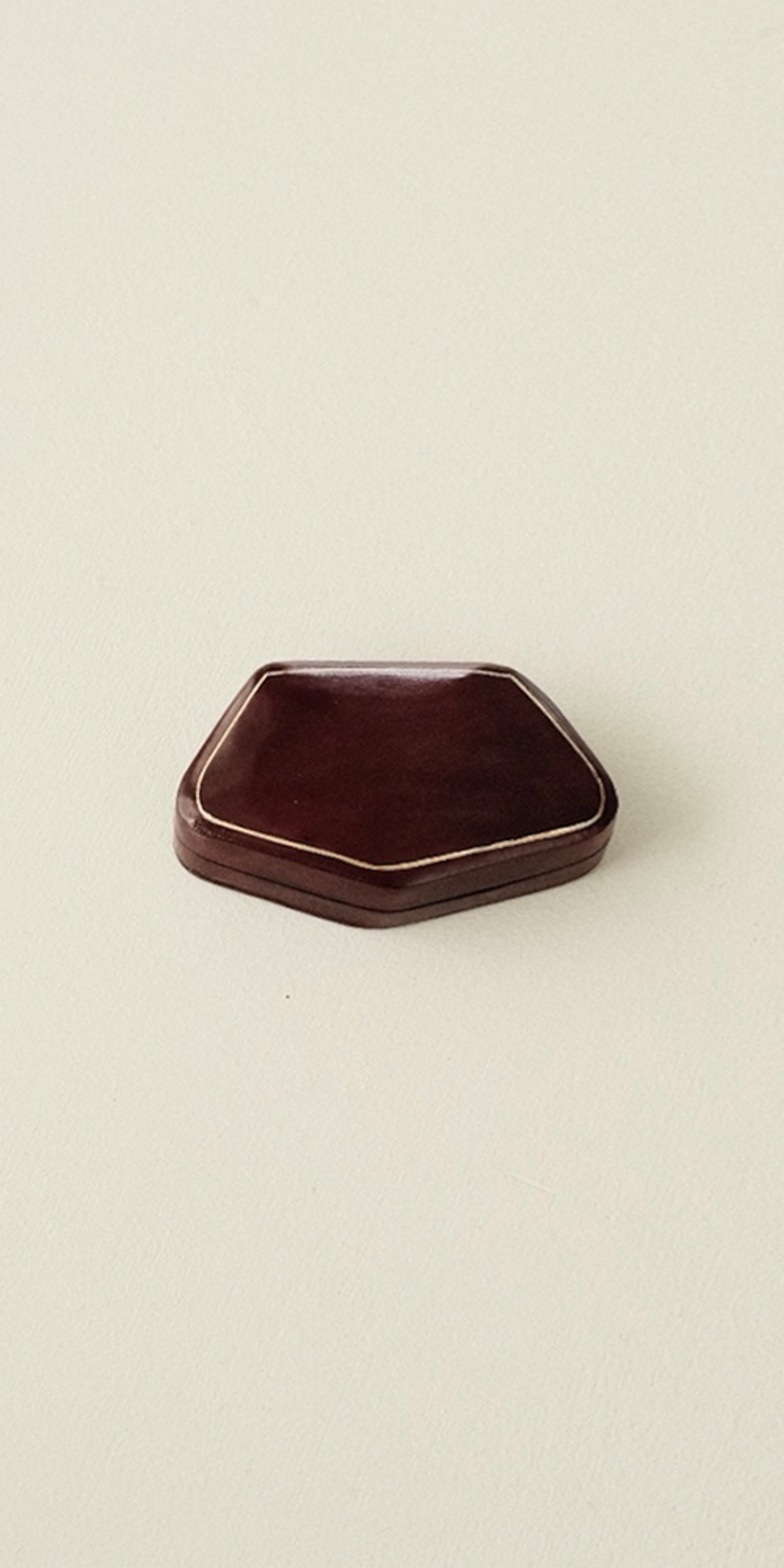 Pentagon Case (2 COLORS)