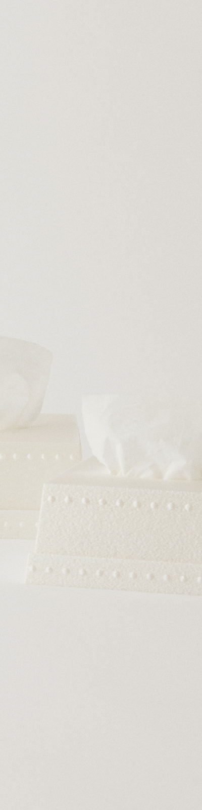 Tissue Case - Ivory (3 Size)