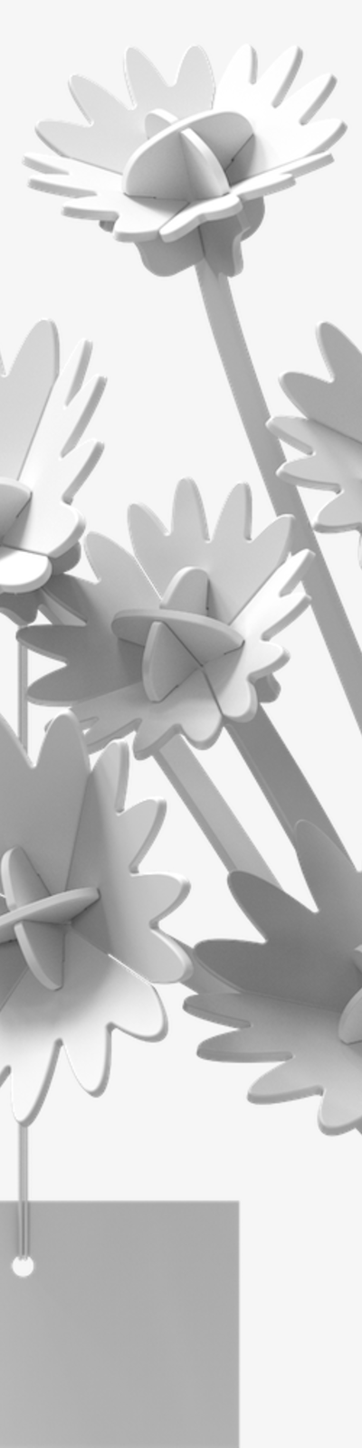 Stem Flower - Daisy