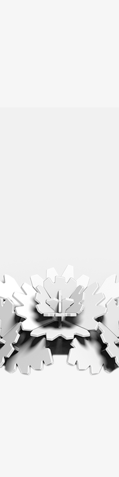 Carnation - White